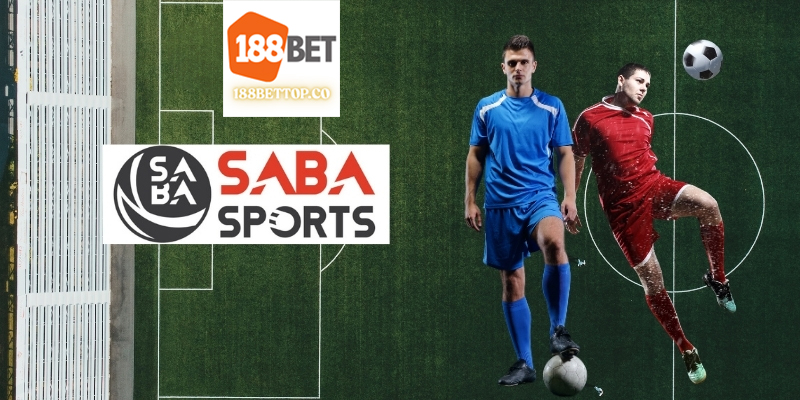 Cách chơi cược bóng đá Saba dễ dàng nhất