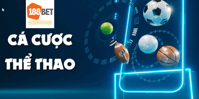 Cược thể thao hấp dẫn